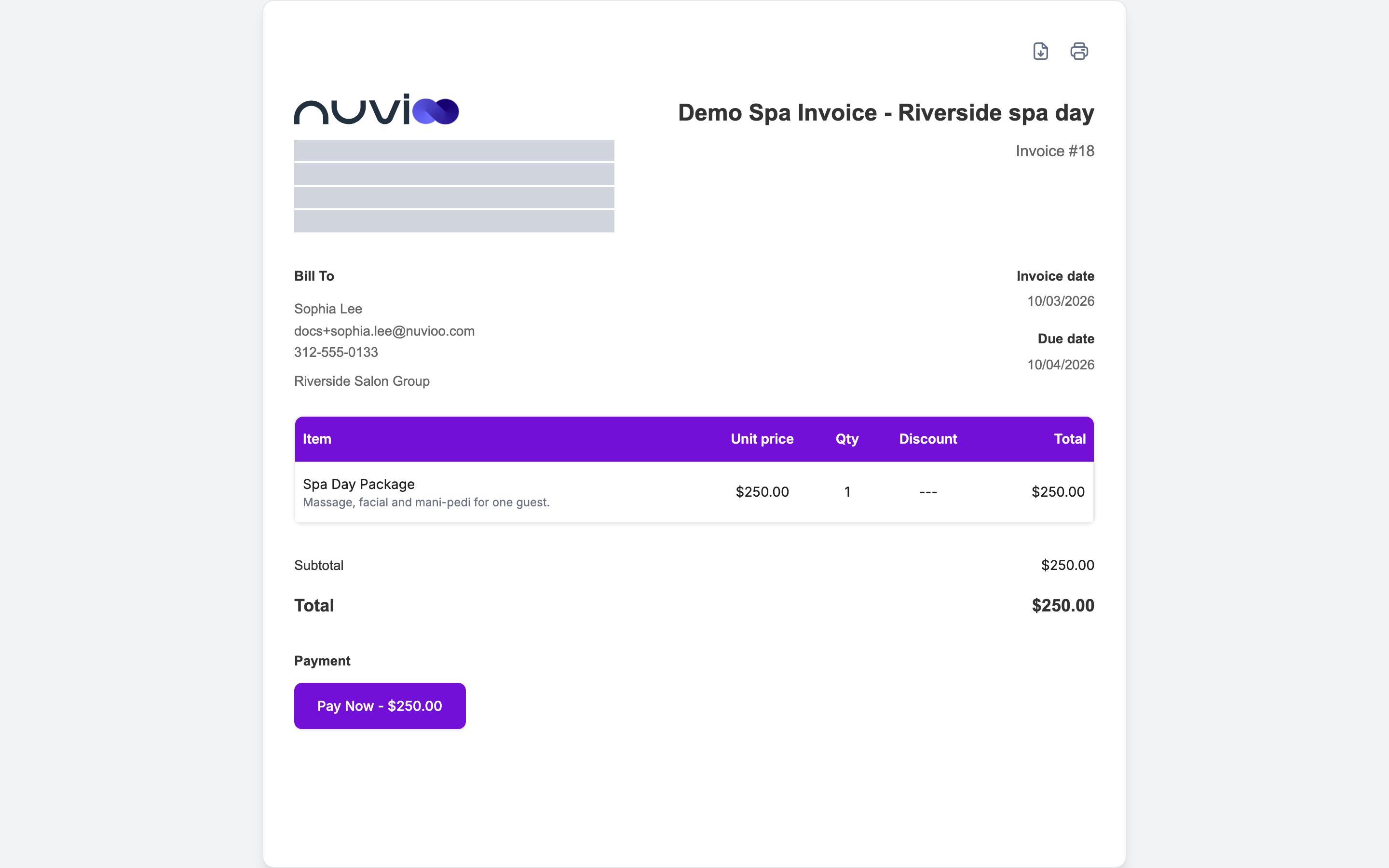 Invoice page with items, total and the Pay Now button